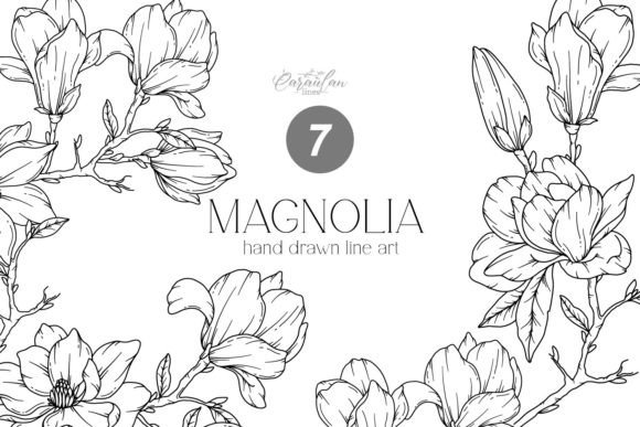 Download MAGNOLIA LINE DRAWING, Floral Line Art - Drawing Collection