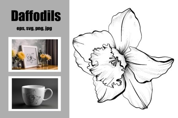 Download Daffodils Freehand Drawing - Drawing Collection